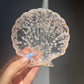 Rose Quartz Crystal Seashell Resin Bowl