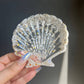 Moonstone Crystal Seashell Resin Bowl