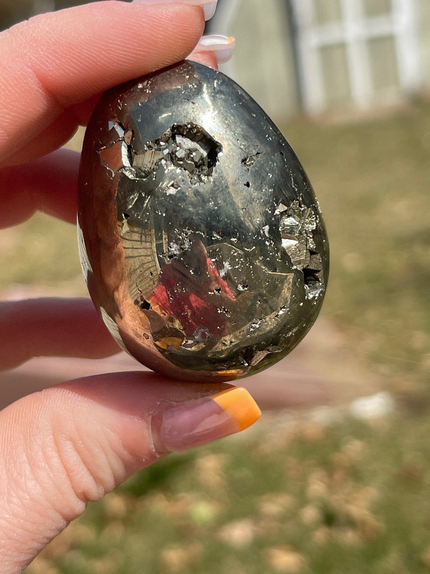 Polished Pyrite Egg