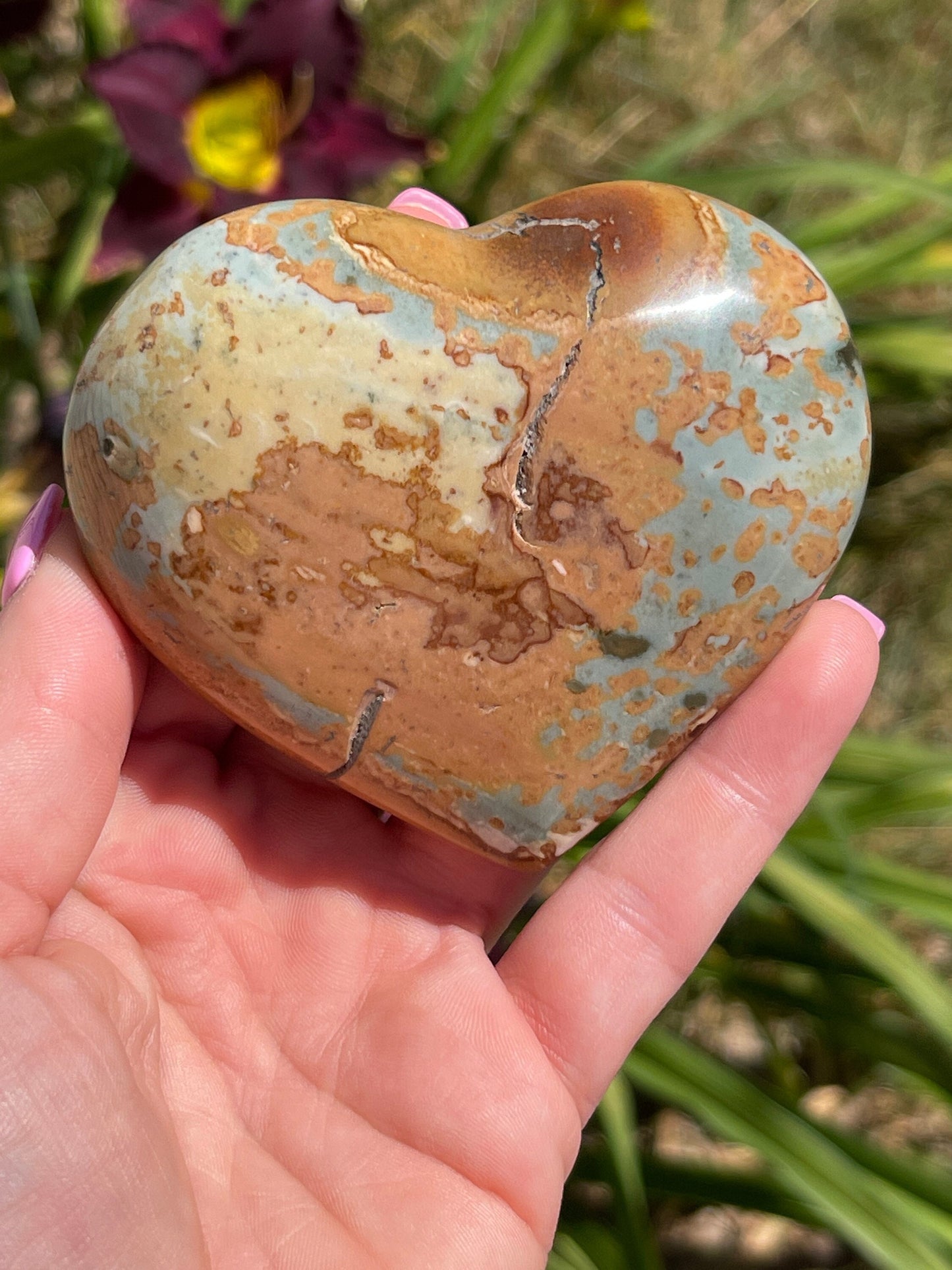 Polychrome Heart