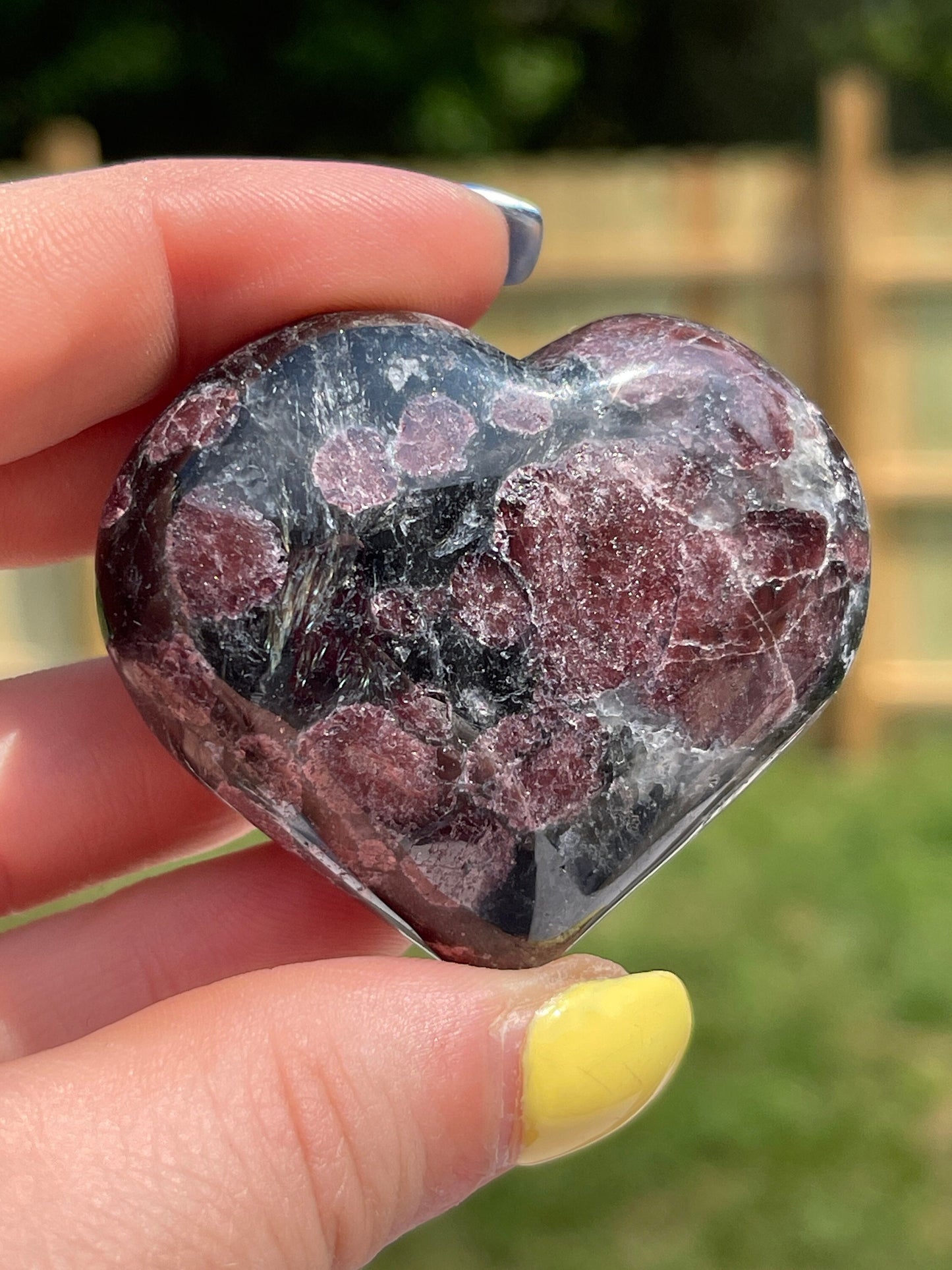 Astrophyllite with Garnet Heart