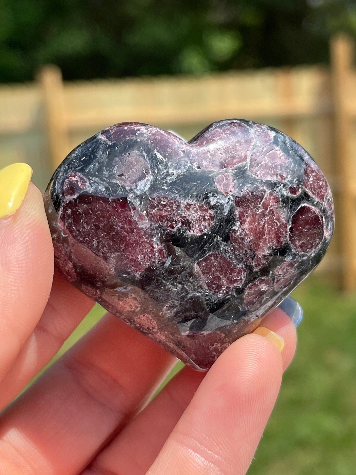 Astrophyllite with Garnet Heart