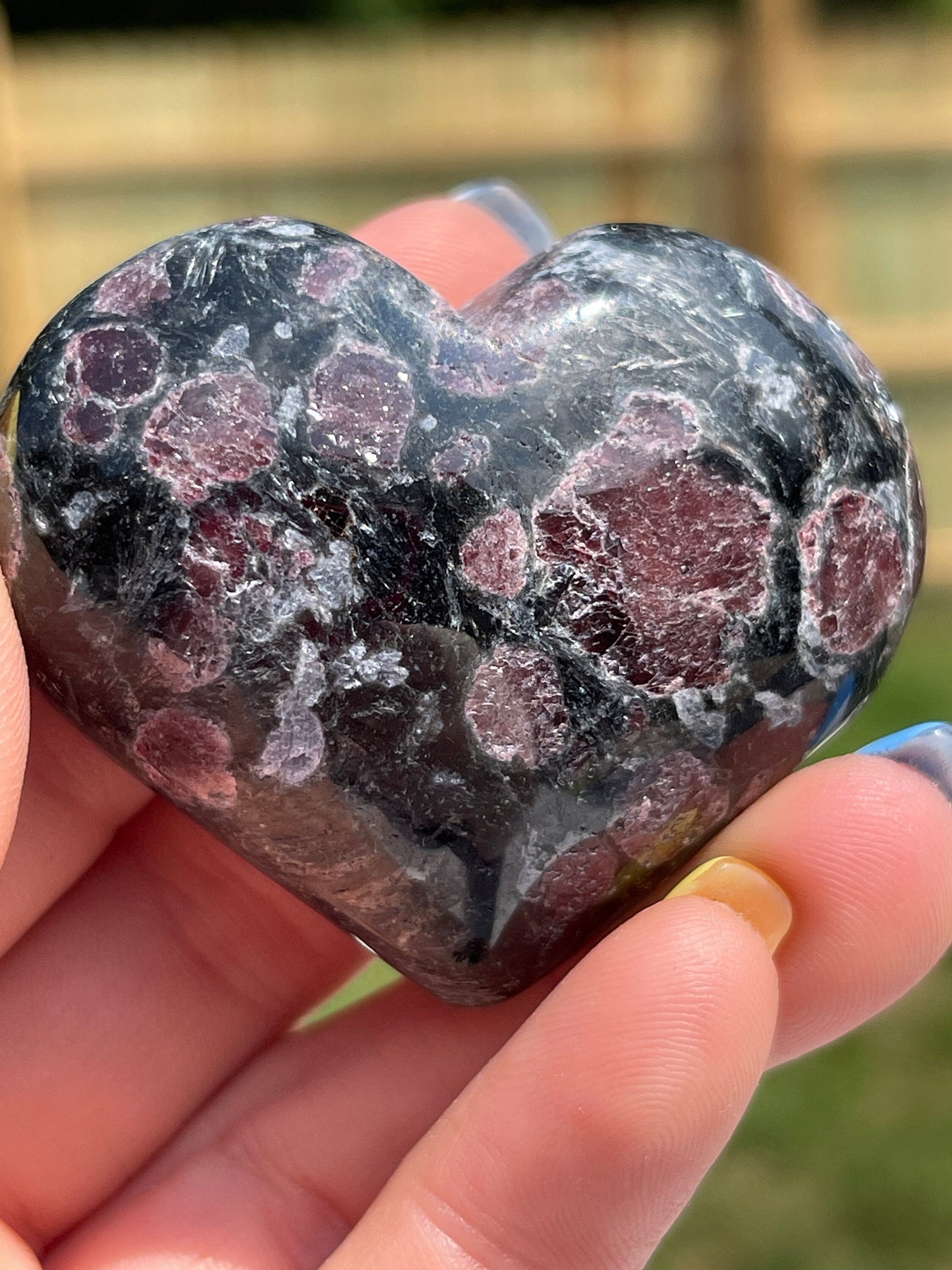 Astrophyllite with Garnet Heart