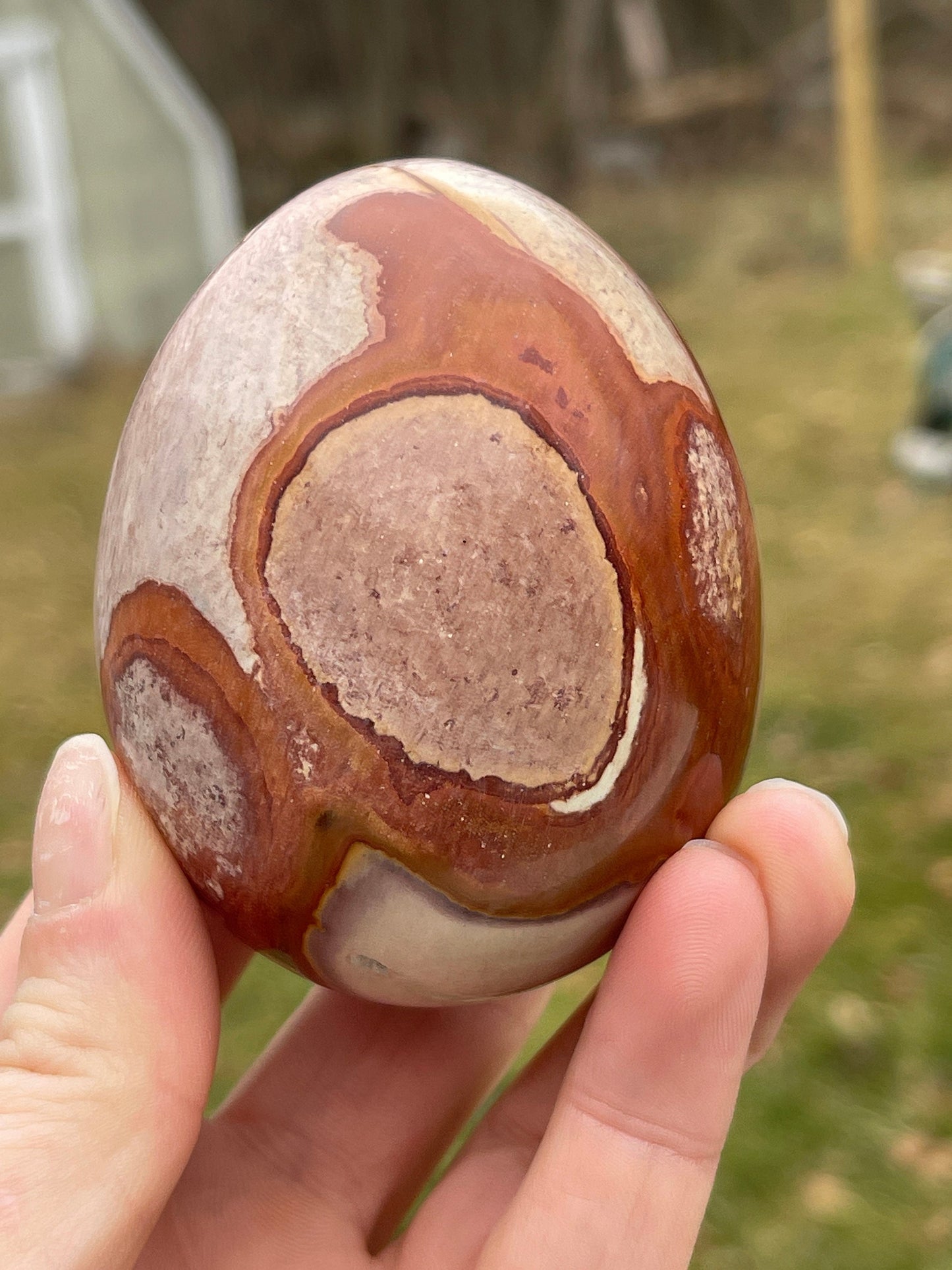 Polychrome Jasper Egg