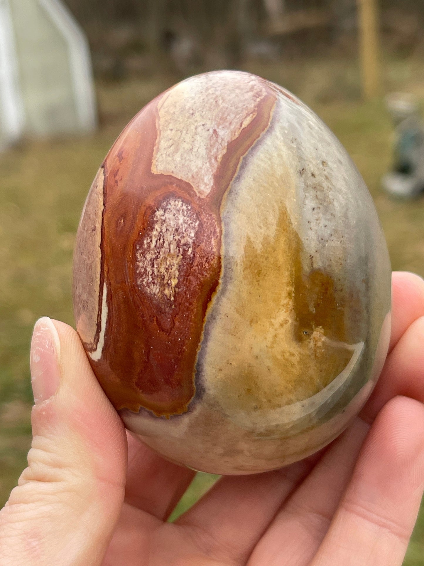 Polychrome Jasper Egg