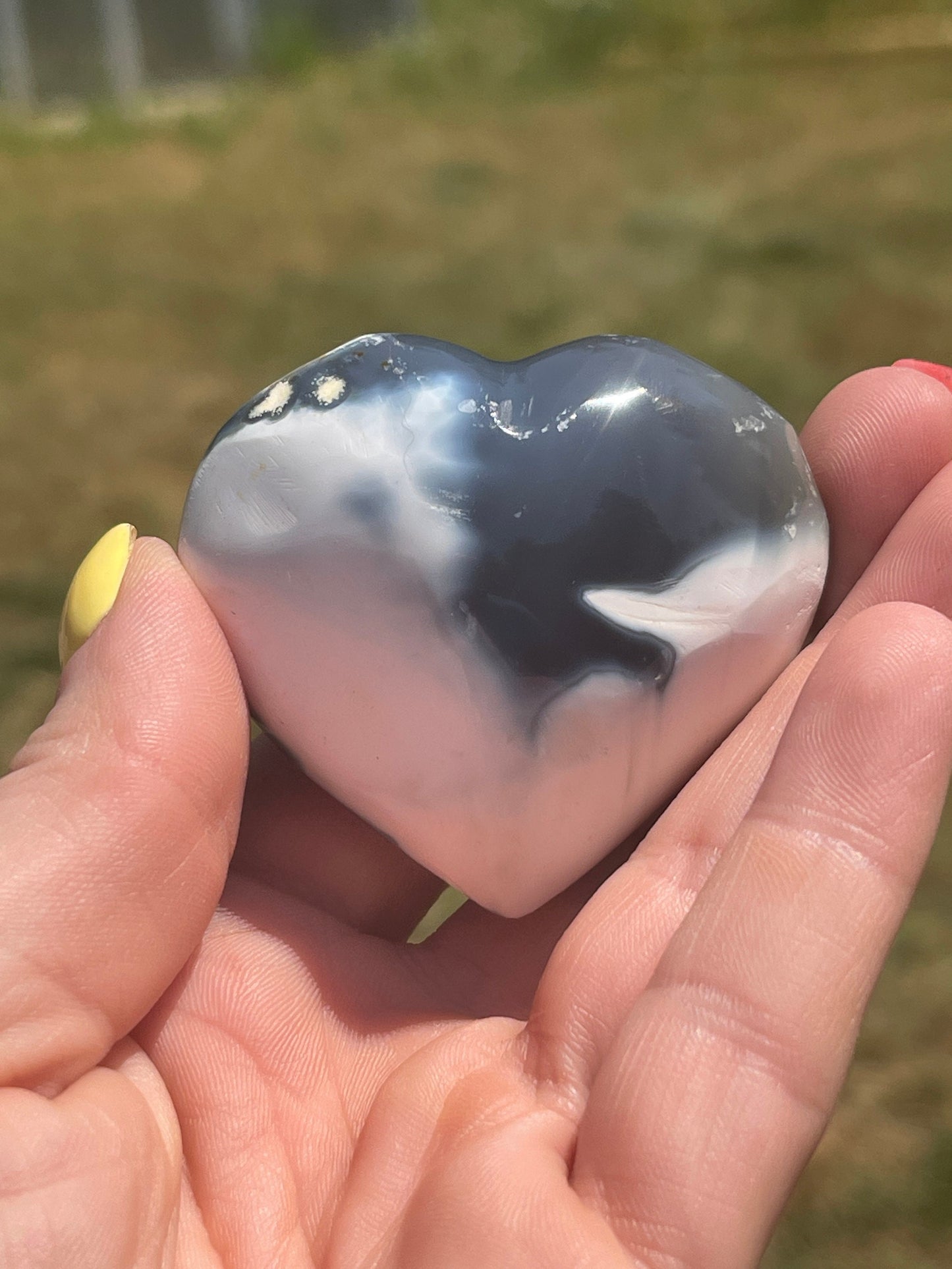 Orca Agate Heart