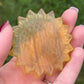 Yellow Fluorite Sunflower