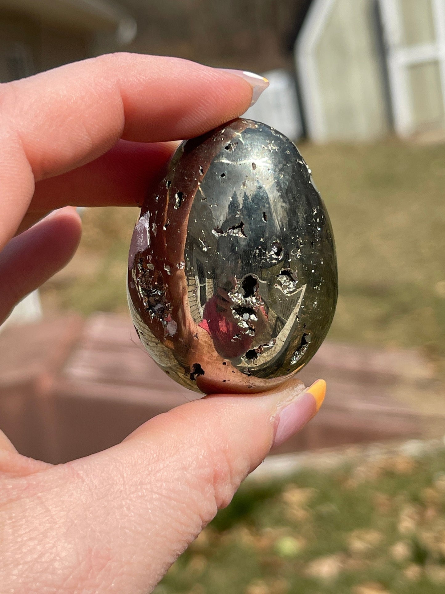 Polished Pyrite Egg