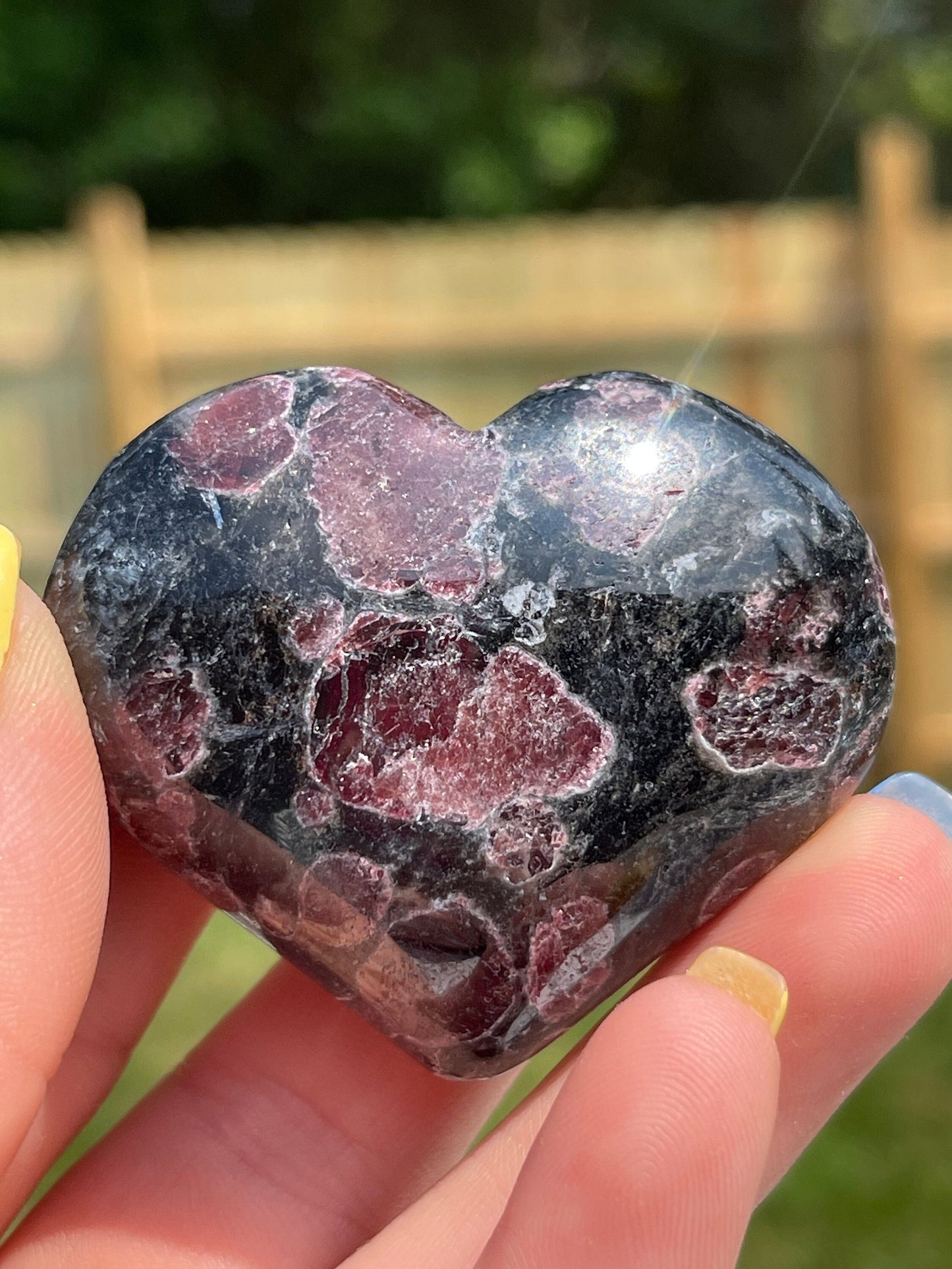 Astrophyllite with Garnet Heart