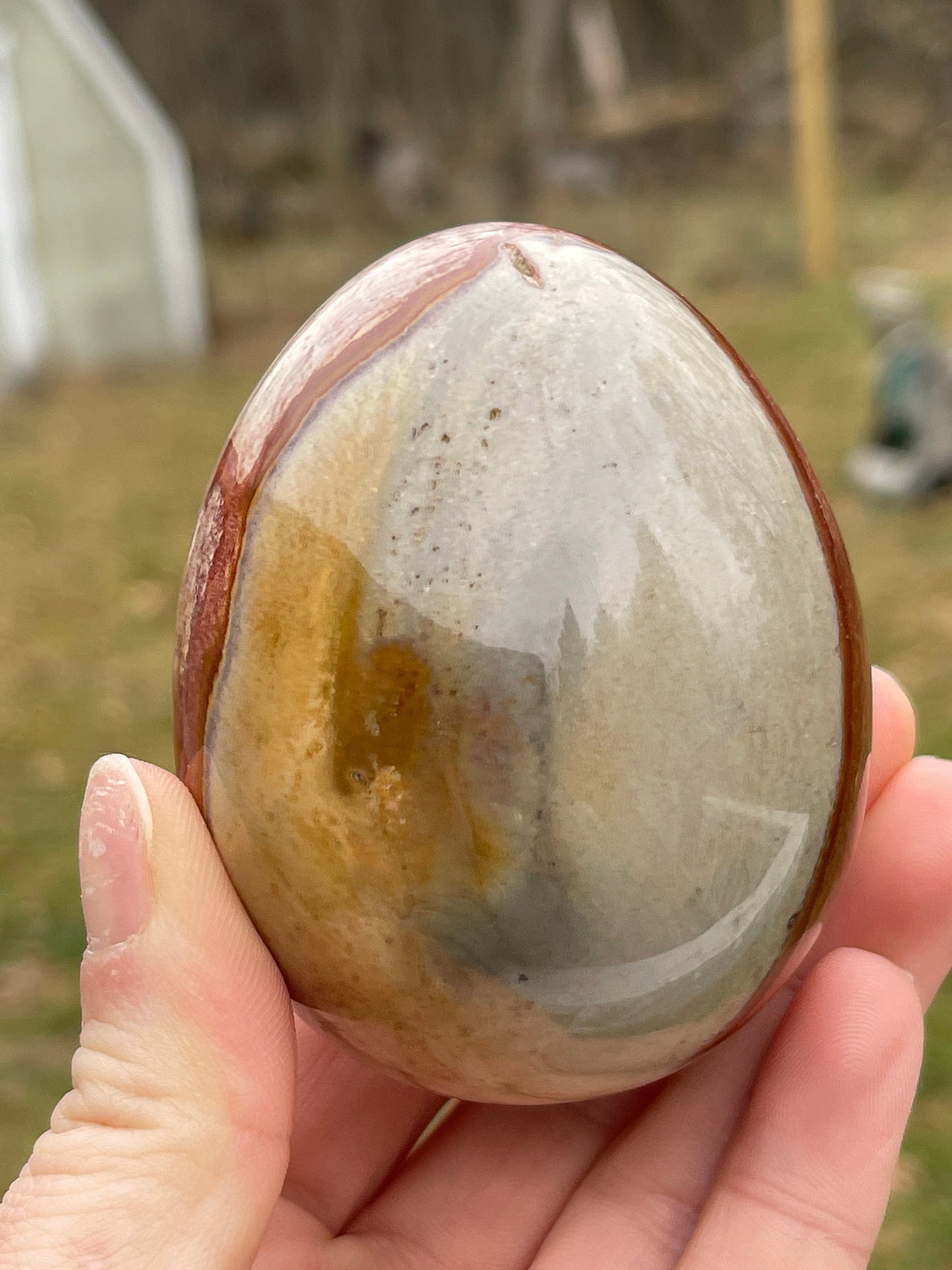 Polychrome Jasper Egg