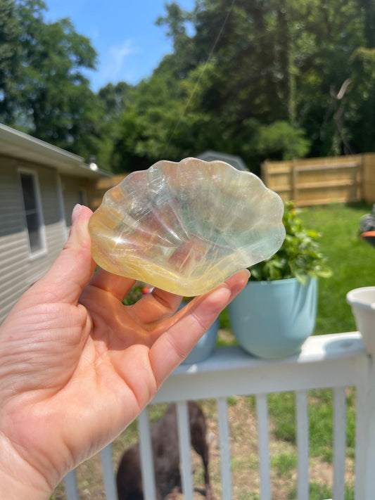 Fluorite Shell Bowl