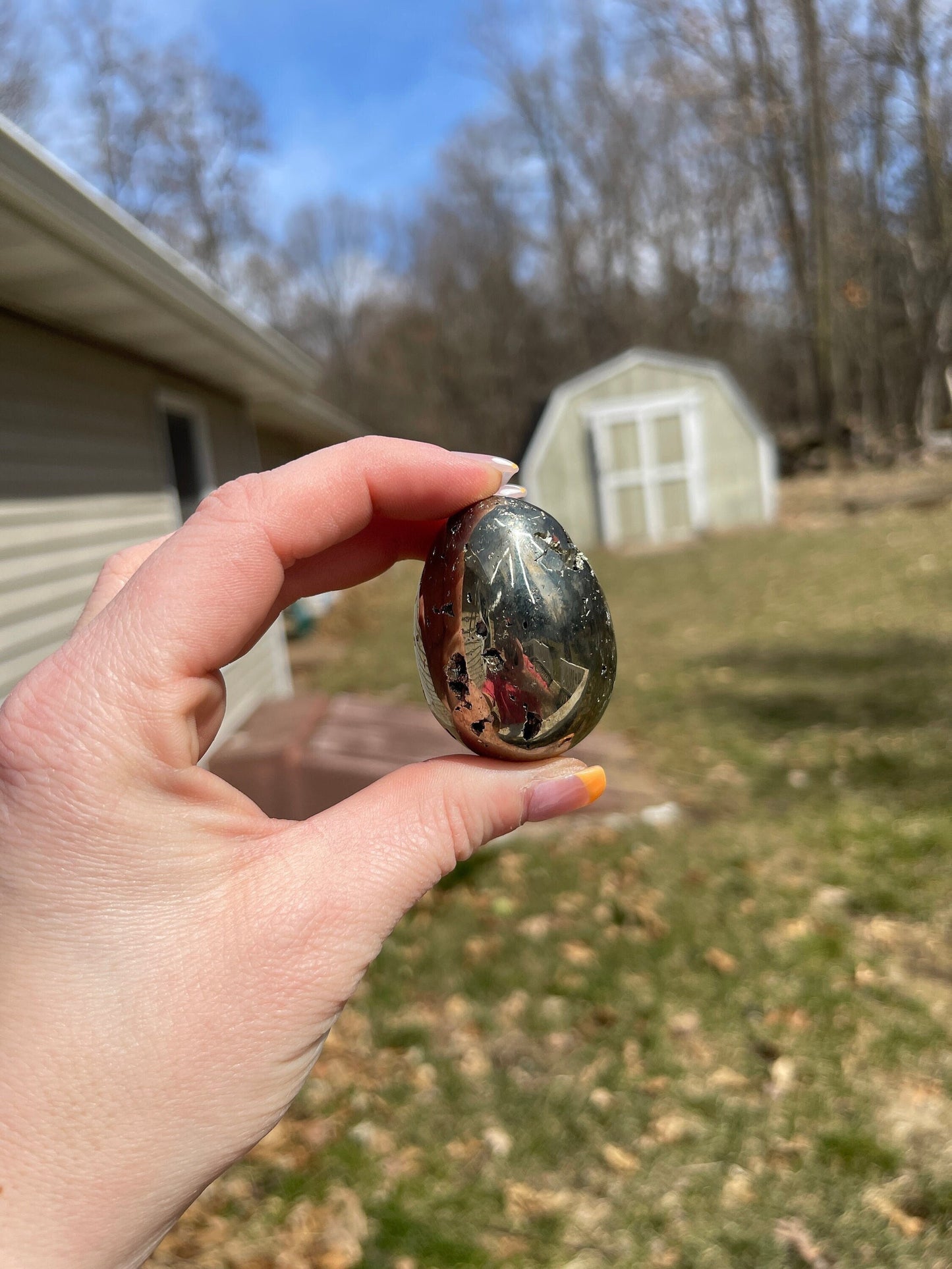 Polished Pyrite Egg